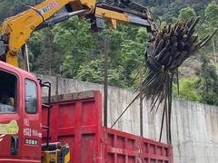 山区抓木机 抓木头竹子废铁专用车