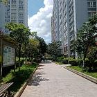 人民公园附近的房子出租！
低楼层！