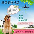 兰考宠物托运（猫咪狗狗）（承接活体运输邮寄）代办检疫证 上门