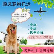 毕节宠物托运（猫狗柴犬）（全国活体运输）一对一上门接 全程视