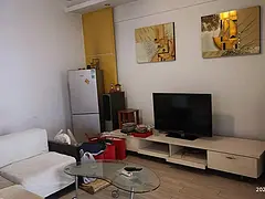 地铁房宝康苑(硚口-宝丰街) 普通住宅1厅 中等装修
