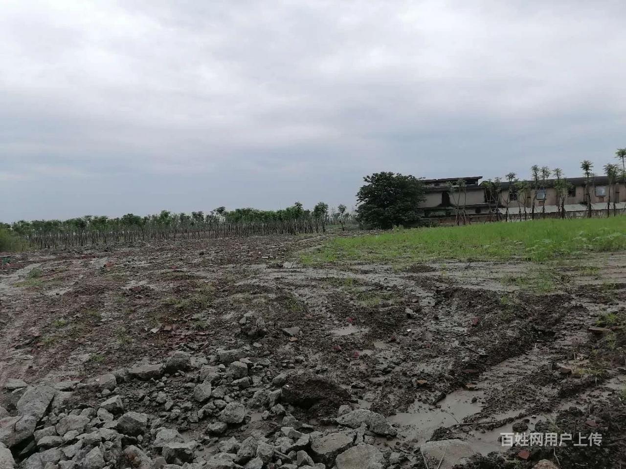 原房东水泥硬化地20亩空地,有证,大车进出方便,可分割.