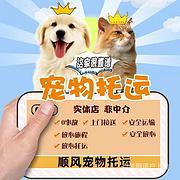 焦作修武宠物托运（猫狗）活体邮寄快递（2022宠物运输 ）