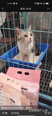 2022)包头市宠物托运（猫狗）活体运输新**闻