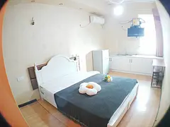 地铁房文豪苑(洪山-鲁巷)酒店式公寓可做饭,绿之苑,华城新都