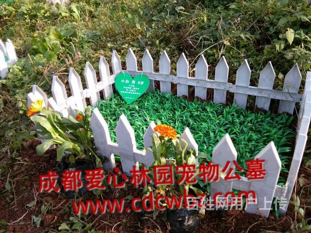 爱心园林成都宠物墓地,宠物猫狗公墓,宠物火化殡葬