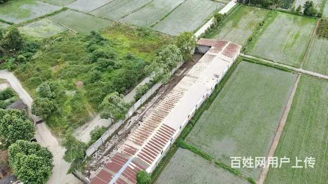 可整租，分租的图片