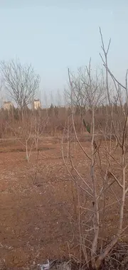 文昌湖旁100亩土地出租，水电网全，交通便利