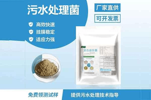 污水处理菌种