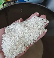 新大米