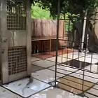 地铁房石围塘小区(荔湾-芳村) 普通住宅 简单装修