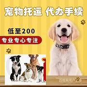 毕节毕节宠物托运邮寄（承接所有活体运输）猫狗物流 上门接送