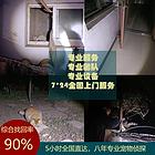 安阳专业找猫团队靠谱吗？专业找猫团队大概多少钱