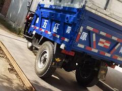 24年五征奔马车