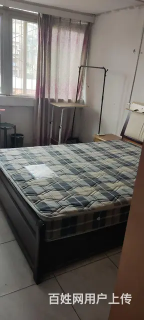 胜利三路北山坡的图片
