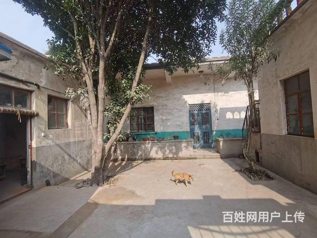 独家小院出租的图片