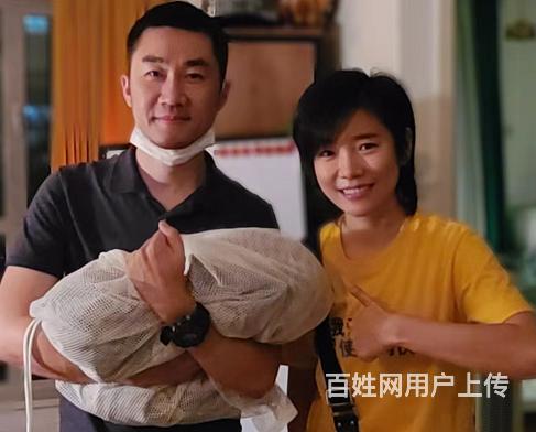 常州猫猫走丢怎么办，不慌，请找我们专业的寻宠团队的图片
