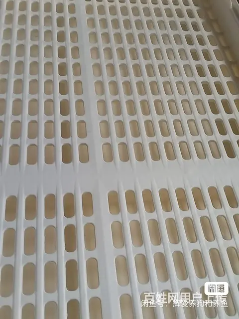高档笼子，加密款式，什么都可以养的，85厘米长，5的图片
