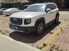 哈弗H6 2020款 2.0GDIT 双离合 GT冠军版