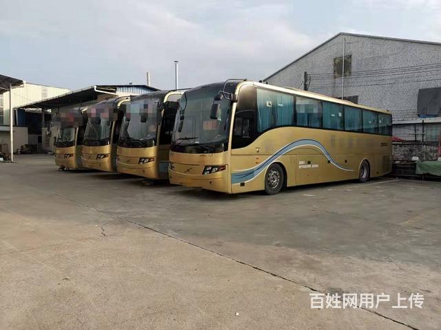 国四排放 50座西沃 公路客运的图片