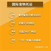推荐） 驻马店上蔡宠物托运到全国）（猫狗）邮寄快递（宠物活体