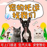 含山宠物托运/在线咨询/放心托付