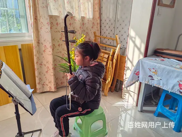 二胡竹笛葫芦丝启蒙教育的图片