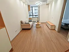 洁癖房东自装公寓出租