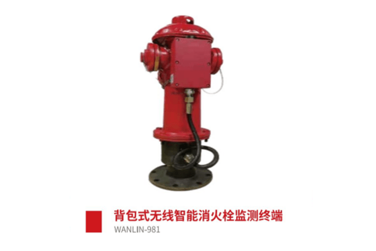WANLIN981背包