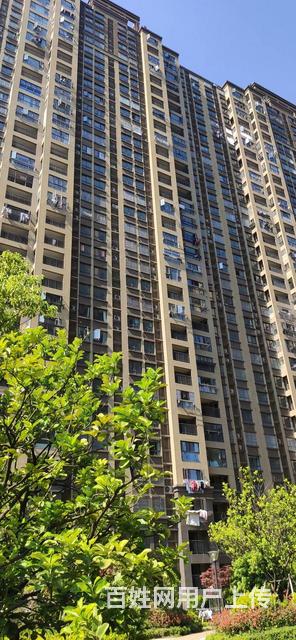 南山公园奥克斯亏本卖房 送车位 一口价78.8万的图片