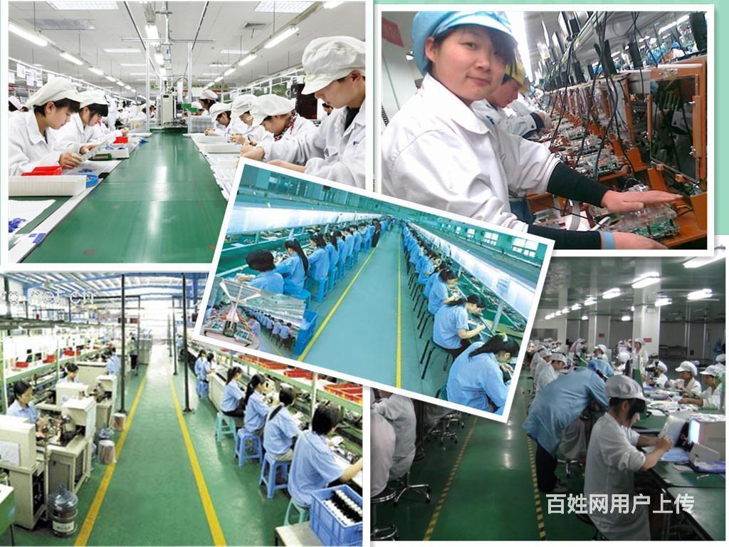 工厂普工 仓管品管 世界百强