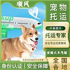 2022/兰考县宠物托运（猫狗）邮寄快递（宠物活体运输