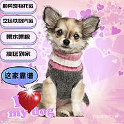 织金县 宠物托运（猫狗）活体运输代办检疫证