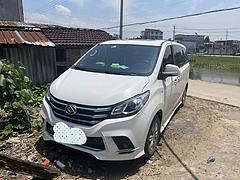 上汽一大通G10