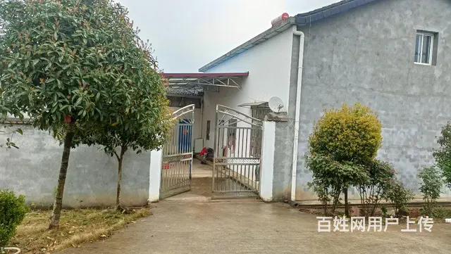 非诚勿扰的图片
