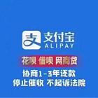 楚雄*网商贷**