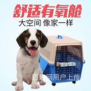 2022已更新}织金宠物托运活体运输/安全高效(今日推荐)