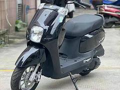 实体店出售二手摩托车、太子车、踏板车、街车、复古车