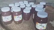 自家养的野生蜂蜜