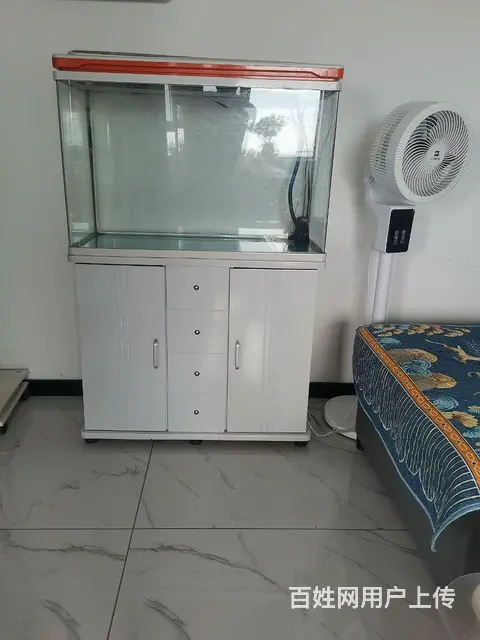 鱼缸的图片