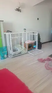 卖二手猫笼子