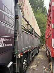 豪沃T7H，前四后八9.6米高栏，德国曼发动机