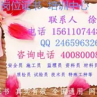 泸州安全员/施工员/造价员/叉车/电工/电梯考试地