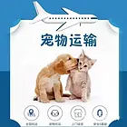 黄石可托运到全国各地,上门接宠哪家便宜
