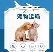 包头跨国宠物托运公司