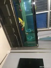 出售3米森森鱼缸