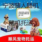 洛阳宜阳宠物托运（猫狗）活体邮寄快递（2022宠物运输 ）