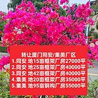 转让厦门同安，集美 工业厂房