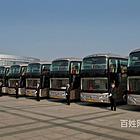 黄冈宠物托运猫狗托运流程查询全国连锁