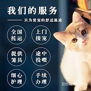 推荐） 南阳镇平宠物托运到全国）（猫狗）邮寄快递（宠物活体运